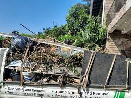 Best Carpet Removal and Disposal  in Nambe, NM